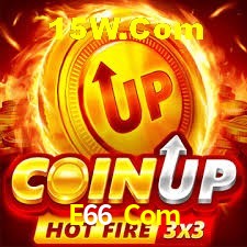 Bonus Features E66 Com